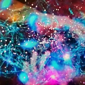 Chaos 2022 a Chaos 2022 a