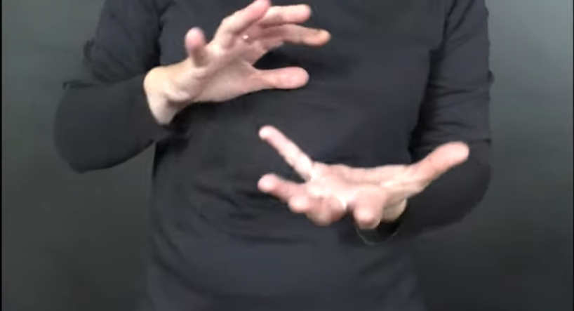 Snippet of the CHAOS I Video