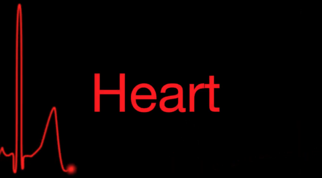 Heart video thumbnail