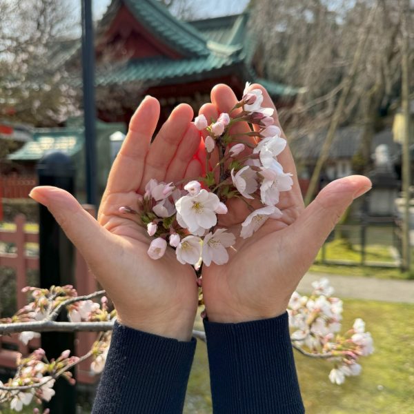 Handscape -flowers